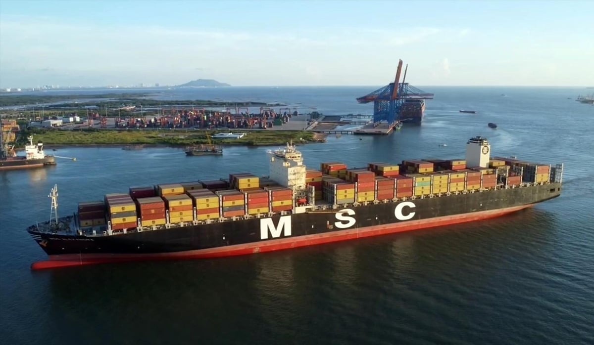Hãng tàu lớn nhất thế giới MSC thường xuyên có chuyến tàu cập cụm cảng Cái Mép - Thị Vải. Ảnh: TTXVN.