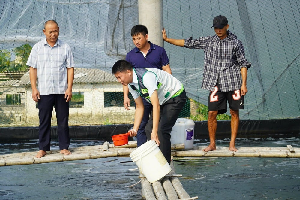 Mô hình nuôi tôm của ông Lê Văn Phương là một trong những điển hình ứng dụng công nghệ cao hiệu quả tại địa phương, không chỉ nâng cao năng suất mà còn giảm tác động đến môi trường và phát triển bền vững. Ảnh: Thu Thủy.