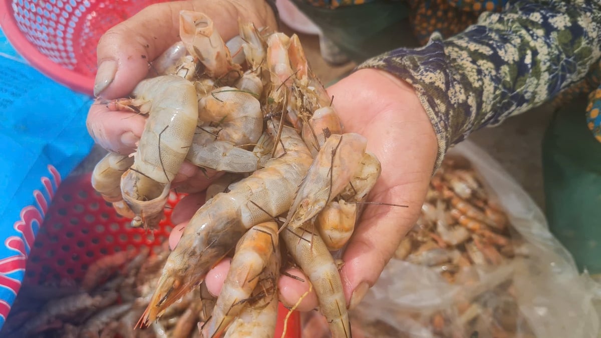 An toàn thực phẩm là nội dung được dư luận đặc biệt quan tâm. Ảnh: Việt Khánh.