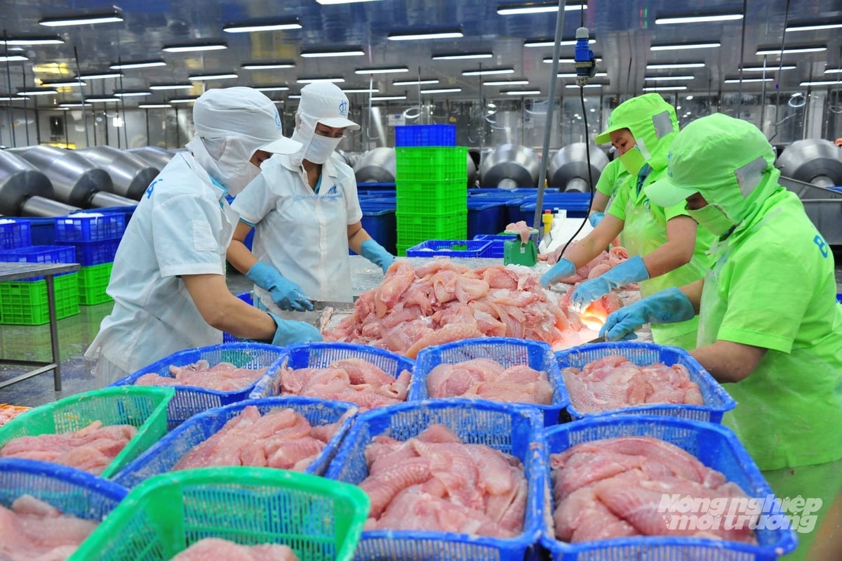  Sáu tháng đầu năm 2026 Đồng Tháp đạt kim ngạch xuất khẩu khoảng 4,85 tỷ USD, tạo đà phát triển kinh tế cho 6 tháng cuối năm. Ảnh: Lê Hoàng Vũ.
