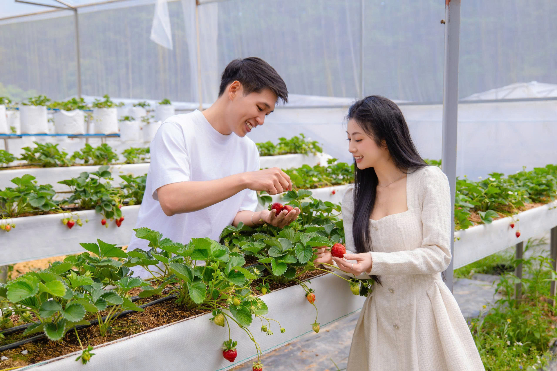 Du lịch nông nghiệp tiếp tục được Lâm Đồng phát triển, góp phần đa dạng hóa sản phẩm phục vụ du khách. Ảnh: TLTY.