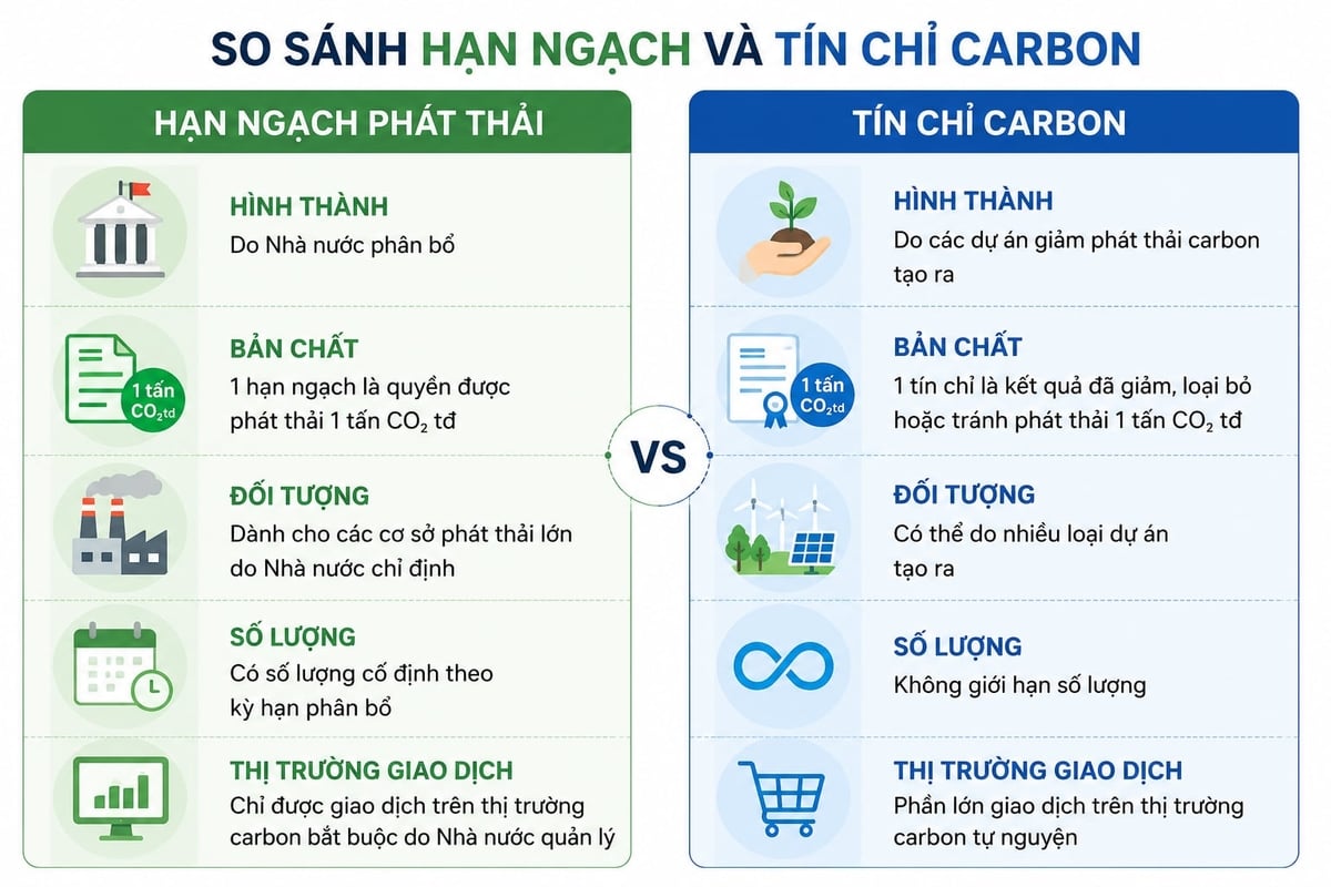 Điểm khác nhau giữa hạn ngạch phát thải và tín chỉ carbon. Ảnh: AI.