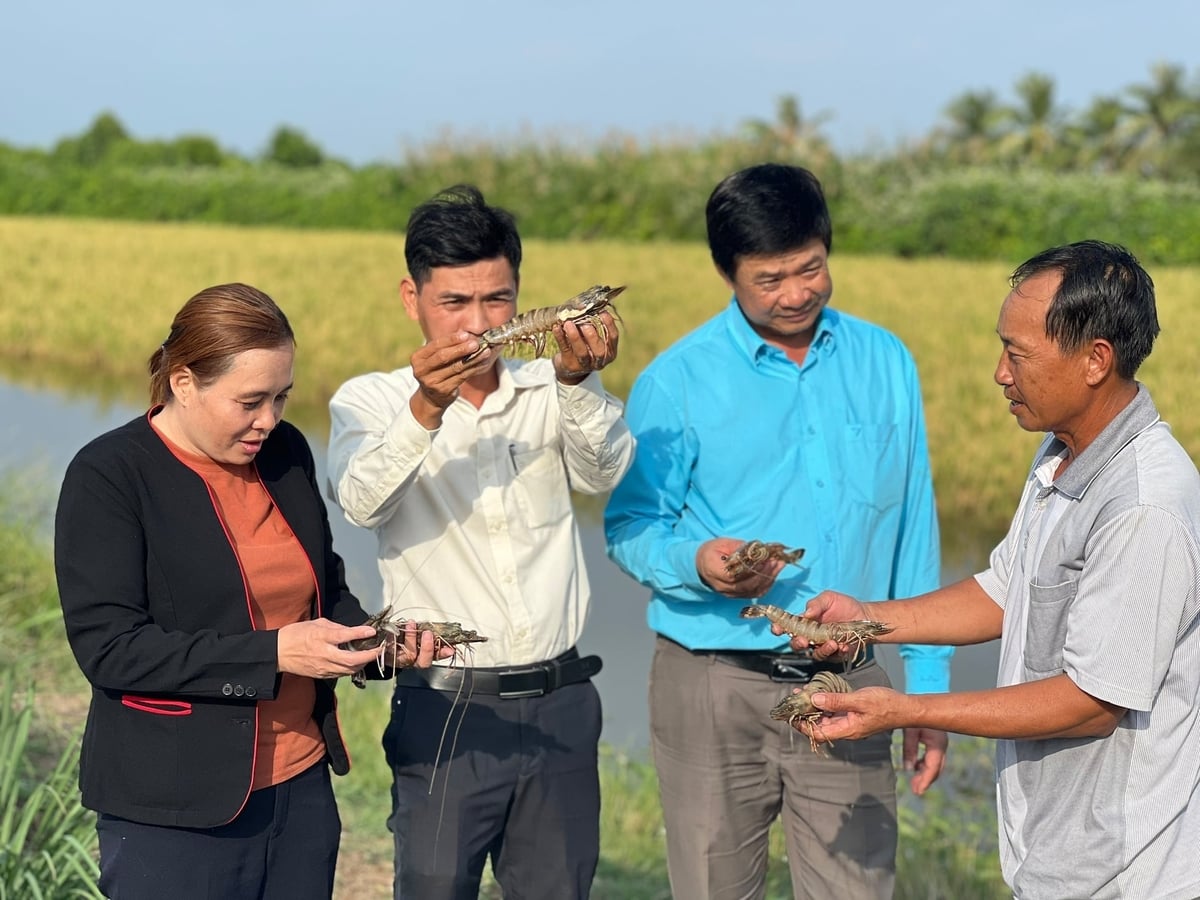 Ban Tuyên giáo và Dân vận Tỉnh ủy Cà Mau vừa ban hành kế hoạch tuyên truyền thực hiện Đề án phát triển kinh tế xanh - kinh tế tuần hoàn giai đoạn 2026-2030, tầm nhìn đến năm 2045. Ảnh: Trọng Linh.