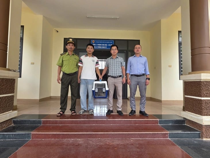 Cá thể tê tê Java được tiếp nhận để chăm sóc, cứu hộ. Ảnh: UBND xã Khe Sanh.