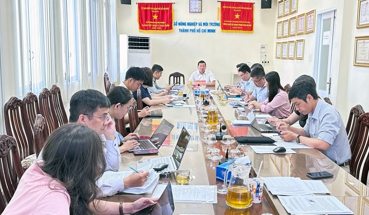 Ông Nguyễn Toàn Thắng - Giám đốc Sở Nông nghiệp và Môi trường TP.HCM, Tổ trưởng Tổ Công tác 1645 chủ trì buổi làm việc với chủ đầu tư dự án nhà ở thương mại về gỡ vướng cấp sổ hồng cho người mua nhà. Ảnh: Tường Tú.