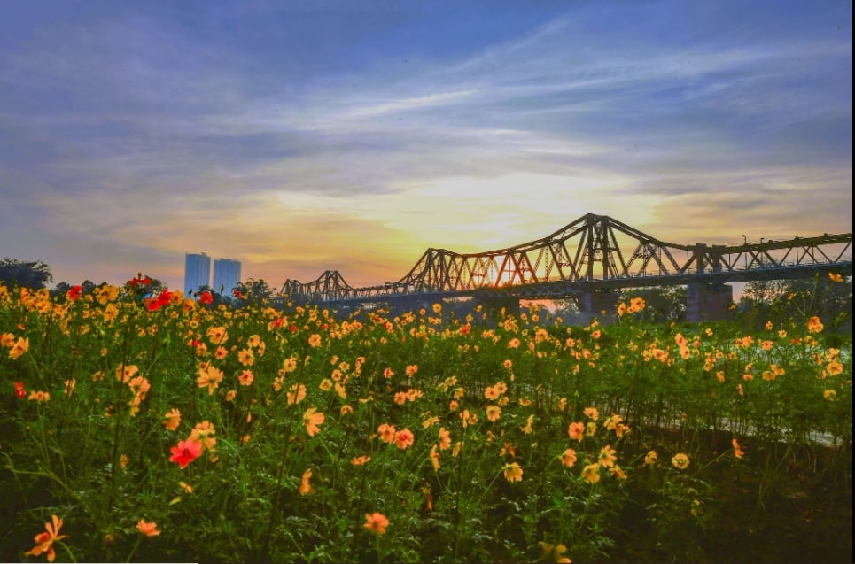 Vườn hoa bãi đá sông Hồng. Địa điểm chụp ảnh lý tưởng của của nhiều người. Ảnh: Trần Xuân Thiều.