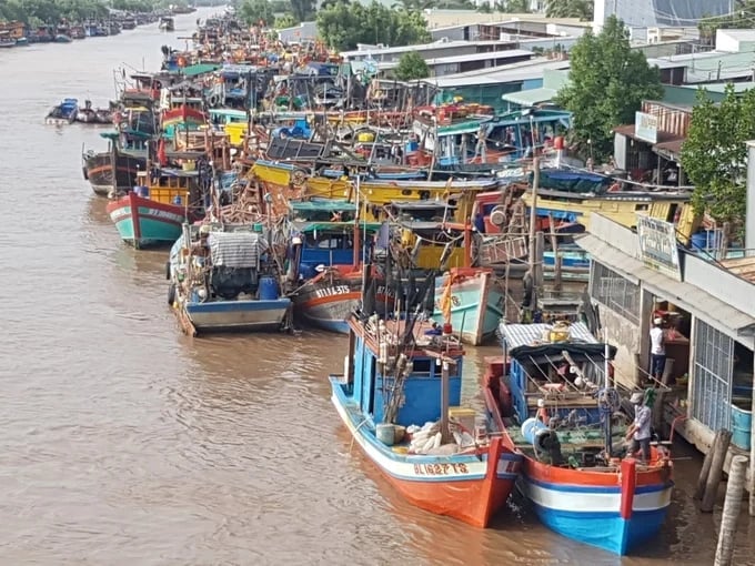Sản lượng khai thác thủy sản tỉnh Cà Mau hàng năm đạt trên 360.000 tấn. Ảnh: Trọng Linh.