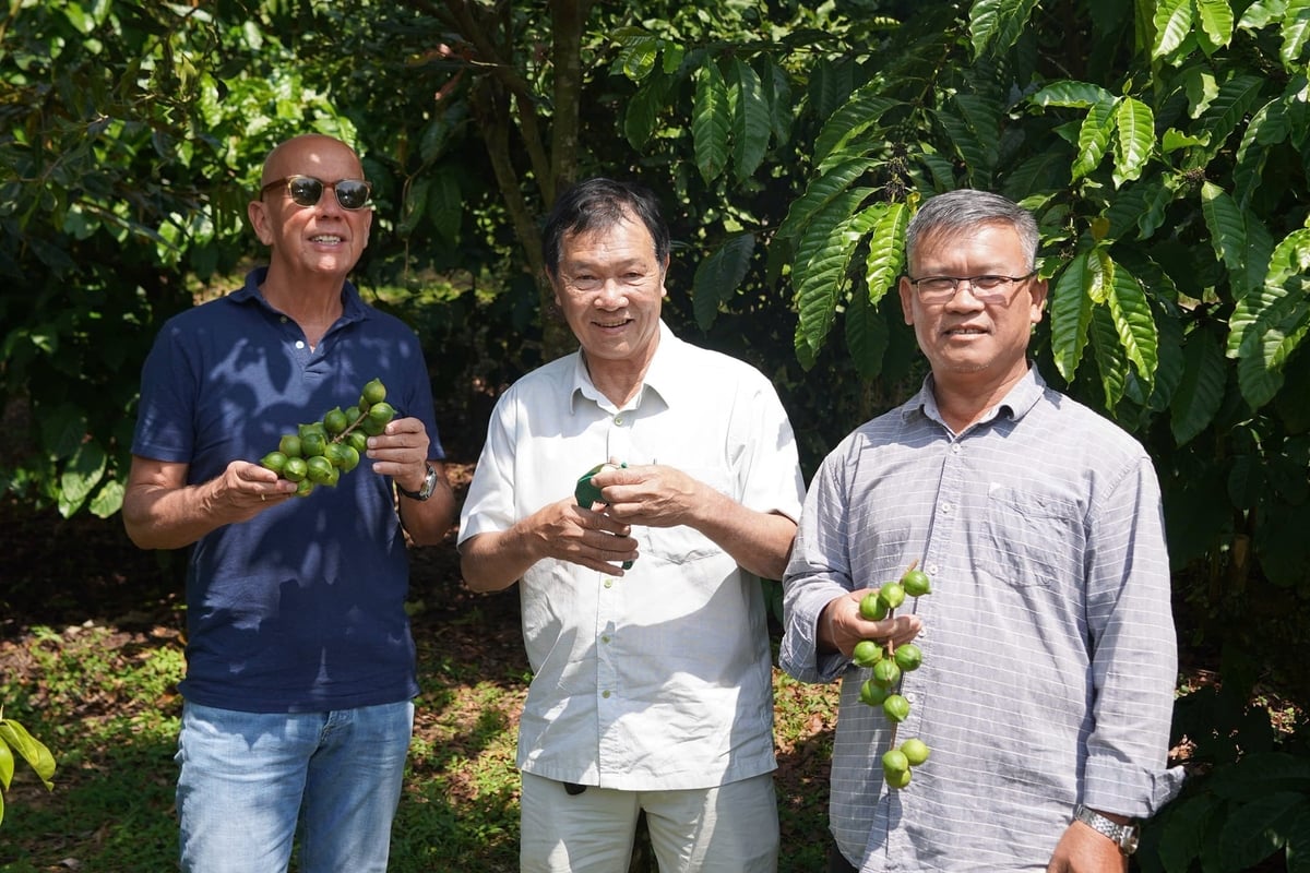 Ông quả (giữa) trong hành trình tìm hướng chế biến sâu hạt mắc ca. Ảnh: NVCC.