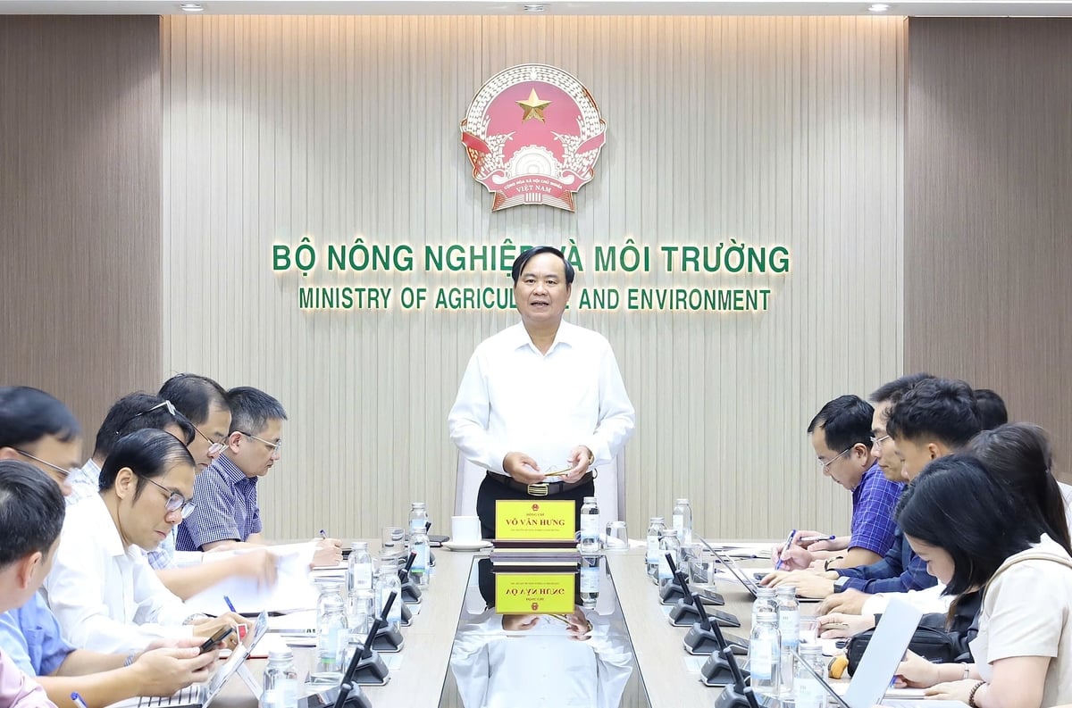 Thứ trưởng Bộ Nông nghiệp và Môi trường Võ Văn Hưng phát biểu kết luận cuộc họp, yêu cầu khẩn trương triển khai 4 nhóm nhiệm vụ trọng tâm. Ảnh: Hồng Ngọc.