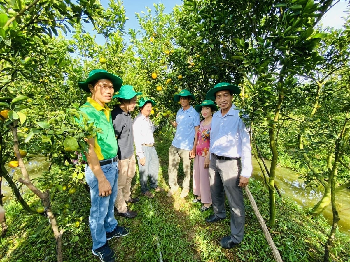 Nhà vườn đón khách tham quan, trải nghiệm. Ảnh: Ngọc Hân.