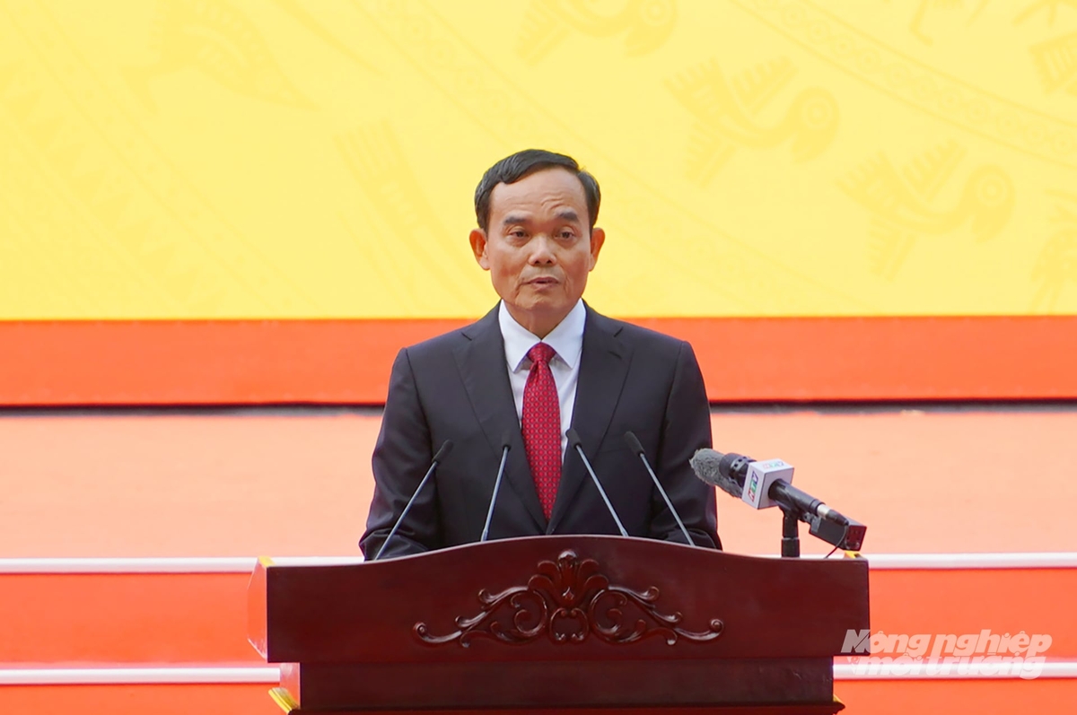 Bí thư Thành ủy TP.HCM Trần Lưu Quang. Ảnh: Nguyễn Thủy.