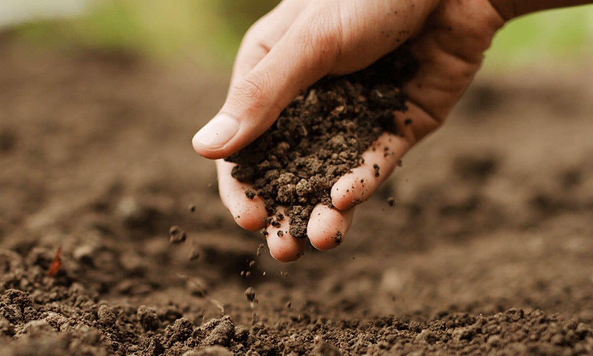 Cơ sở dữ liệu quốc gia về đất đai, nhà ở và dân cư chưa được số hóa hoàn chỉnh. Ảnh minh họa.