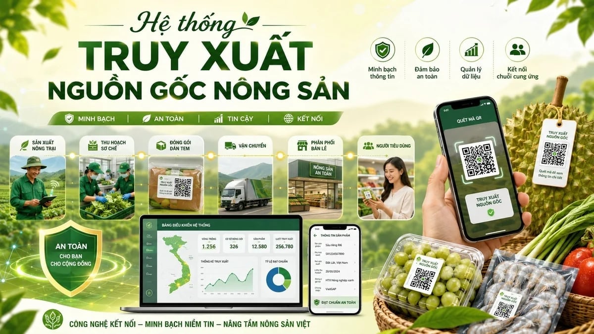 Hệ thống truy xuất nguồn gốc nông sản chính thức đưa vào vận hành từ ngày 1/7/2026 đánh dấu bước tiến quan trọng trong minh bạch hóa sản xuất. Ảnh: AI.