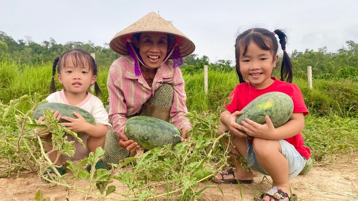 Nhiều du khách khi đến tham quan đảo đã tìm đến khu vườn của gia đình bà Quyến để trải nghiệm không gian nông nghiệp xanh. Ảnh: Cường Vũ.
