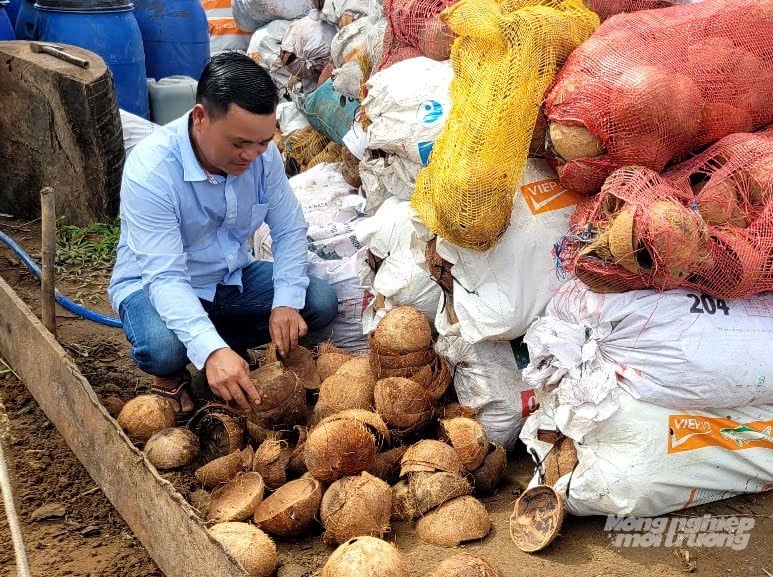 Gáo dừa - phụ phẩm nông nghiệp - được tận dụng làm nguyên liệu sản xuất than hoạt tính theo mô hình kinh tế tuần hoàn. Ảnh: Minh Đảm.