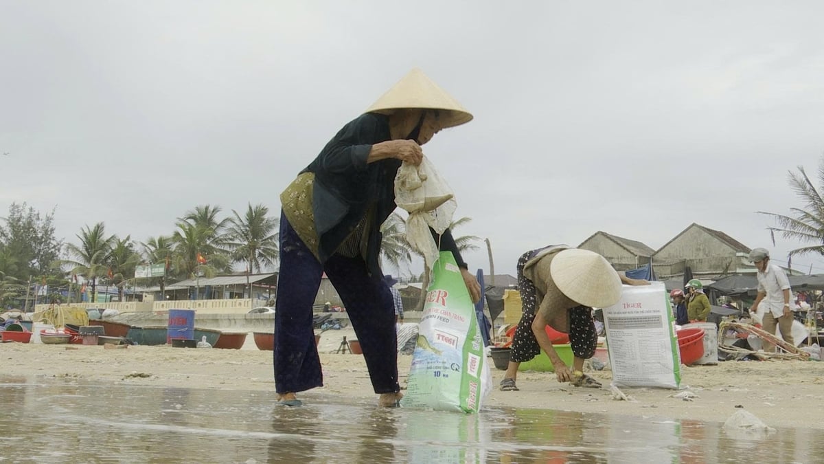 Người dân thôn Hà Lộc, xã Tam Xuân thường xuyên thu gom rác trên bãi biển để bảo vệ môi trường. Ảnh: Lan Anh.