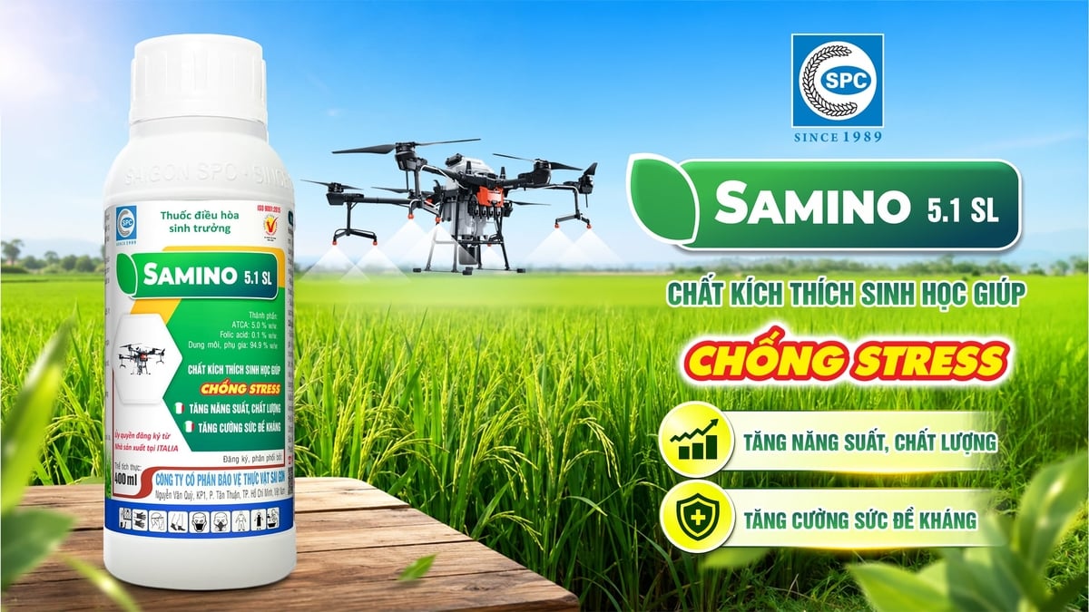 Thuốc điều hoà sinh trưởng Samino 5.1SL của SPC 'chống sốc’ đặc biệt dành cho cây trồng. Ảnh: Văn Bạch.