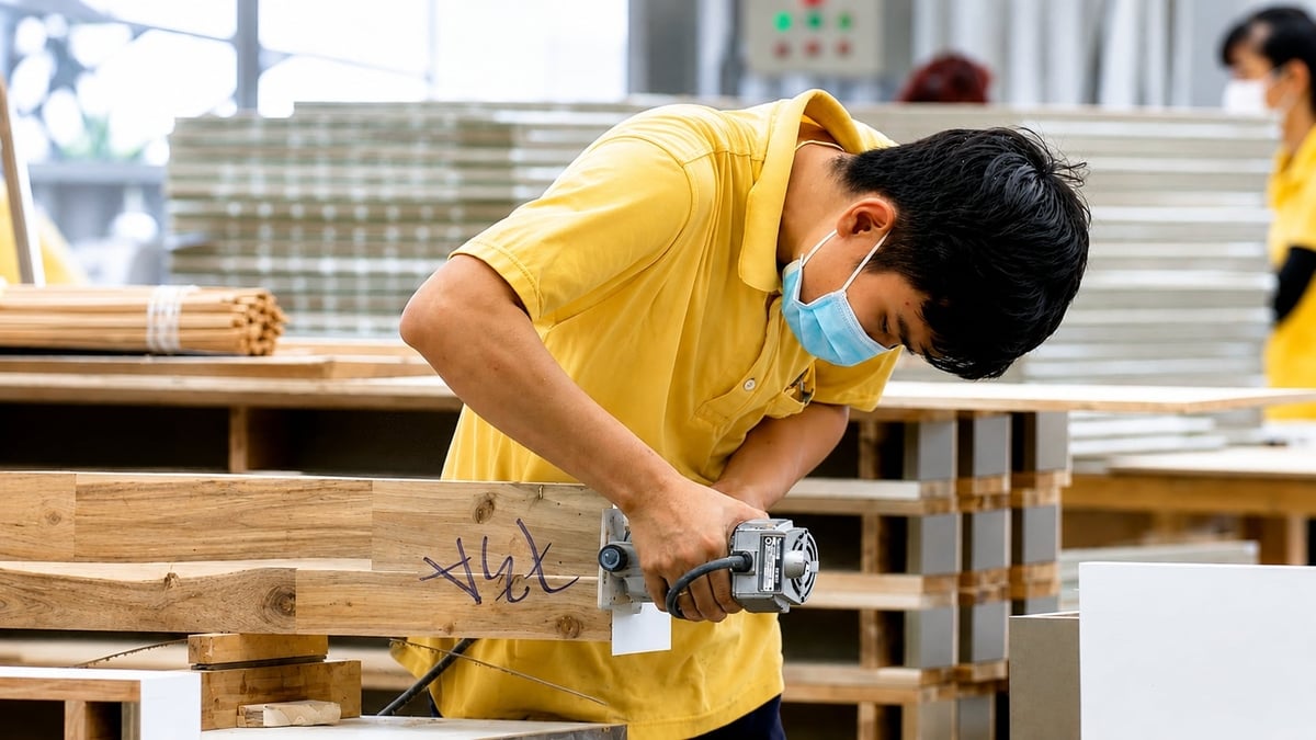 Dù thị trường Mỹ thu hẹp quy mô nhập khẩu, ngành gỗ Việt Nam vẫn duy trì lợi thế cạnh tranh và mở rộng thị phần. Ảnh: Hà Linh.
