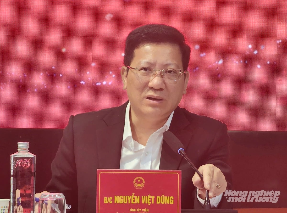 Ông Nguyễn Việt Dũng - tân Giám đốc Sở Giáo dục và Đào tạo tỉnh Quảng Ninh. Ảnh: Cường Vũ. 