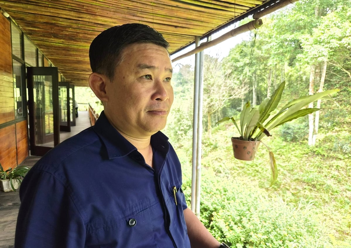 Anh C&aacute;i Quang B&igrave;nh, người c&oacute; nhiều gắn b&oacute; với v&ugrave;ng trồng s&acirc;m ở Tả Ph&igrave;n Hồ. Ảnh: Đ&agrave;o Thanh.