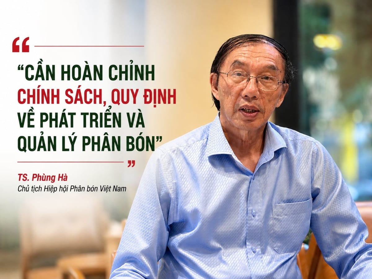 TS. Phùng Hà, Chủ tịch Hiệp hội Phân bón Việt Nam, trao đổi với phóng viên Báo Nông nghiệp và Môi trường. Ảnh: Hoài Thơ. 