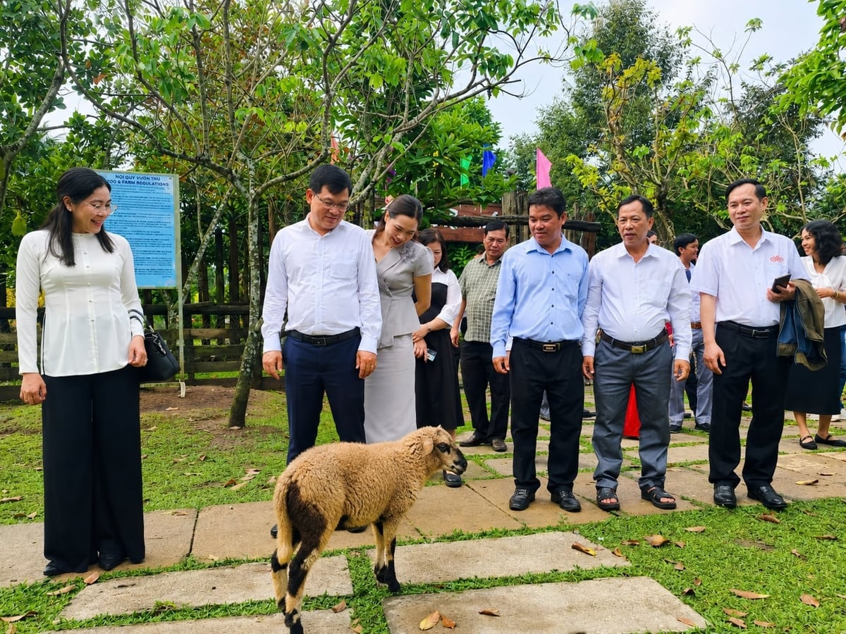 Điểm du lịch sinh thái tại TP Cần Thơ ngày càng thu hút du khách đến tham quan, trải nghiệm. Ảnh: Văn Vũ.