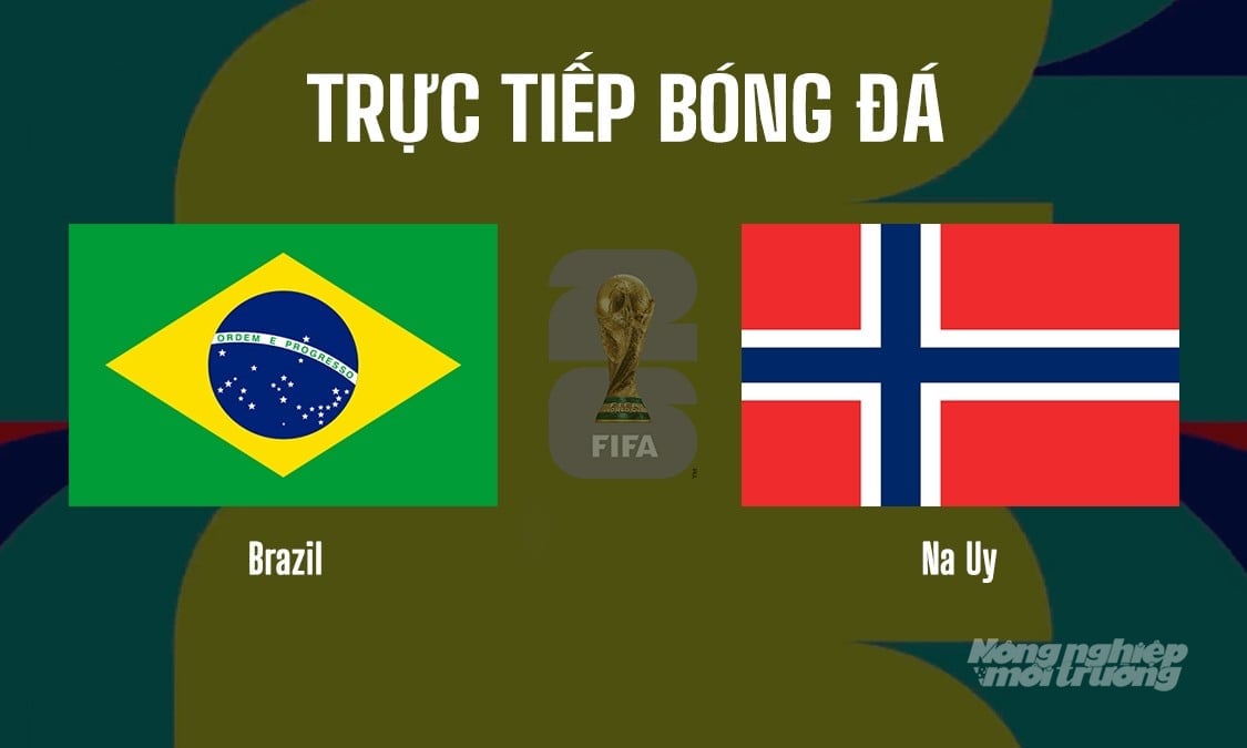 Trực tiếp bóng đá tại vòng 1/8 giải World Cup 2026 giữa Brazil vs Na Uy ngày 6/7/2026