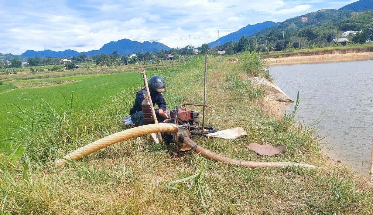 Cơ quan chức năng cùng người dân đang tăng cường đặt máy bơm dầu, điều tiết nước hợp lý cho cây lúa. Ảnh: Văn Dinh. Cơ quan chức năng cùng người dân đang tăng cường đặt máy bơm dầu, điều tiết nước hợp lý cho cây lúa. Ảnh: Văn Dinh.
