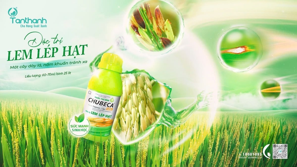 Giải pháp giúp lá khỏe, cây khỏe từ Chubeca 1.8SL. Ảnh. Tân Thành.