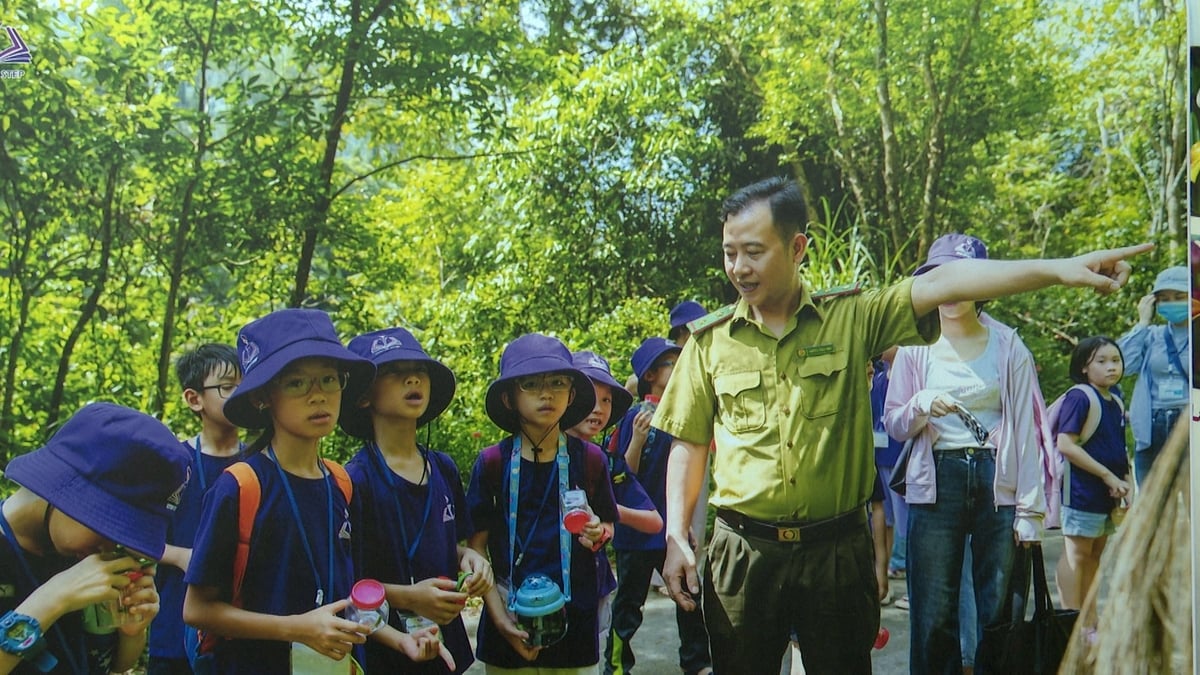 Một hoạt động giáo dục môi trường về bảo vệ môi trường rừng đã được triển khai tại VQG Tam Đảo. Ảnh:  VQG Tam Đảo. 