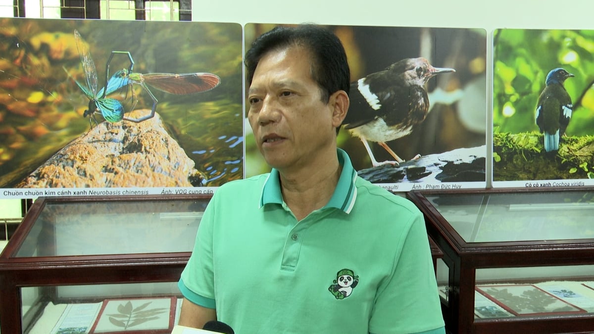 Ông Nguyễn Đức Khải, Phó Giám đốc phụ trách Trung tâm Giáo dục môi trường và Dịch vụ, Vườn Quốc gia Tam Đảo cho biết, trong nhiều năm qua VQG Tam Đảo đã chú trọng đến công tác giáo dục môi trường, nâng cao nhận thức về bảo tồn đa dạng sinh học. Ảnh: Q. Đạt.
