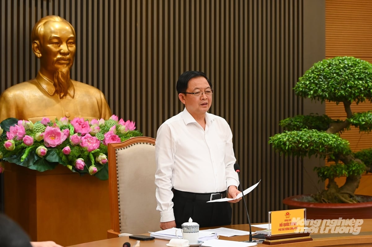 Phó Thủ tướng nhấn mạnh việc lấy hiệu quả, chất lượng đầu ra làm thước đo, đánh giá hiệu quả thực hiện. Ảnh: Tùng Đinh.
