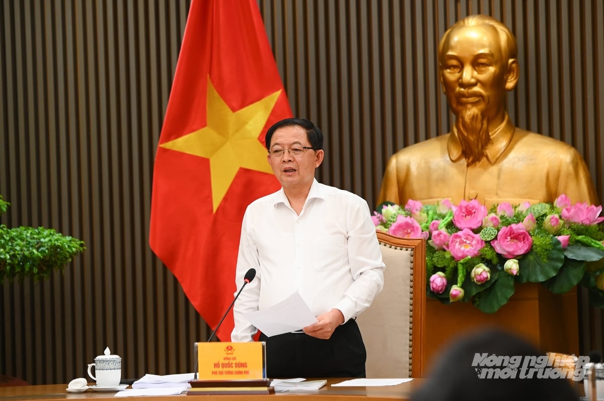 Phó Thủ tướng giao các bộ, ngành, địa phương chủ động, sớm hoàn thành các tiêu chí, nguyên tắc để phục vụ công tác triển khai chương trình. Ảnh: Tùng Đinh.