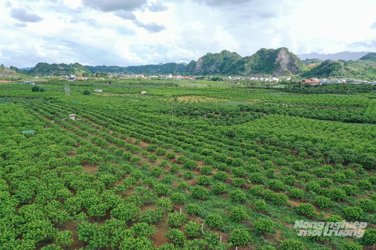 Sơn La là địa phương có tỷ lệ giải ngân cao trong 6 tháng đầu năm. Ảnh: Tùng Đinh.