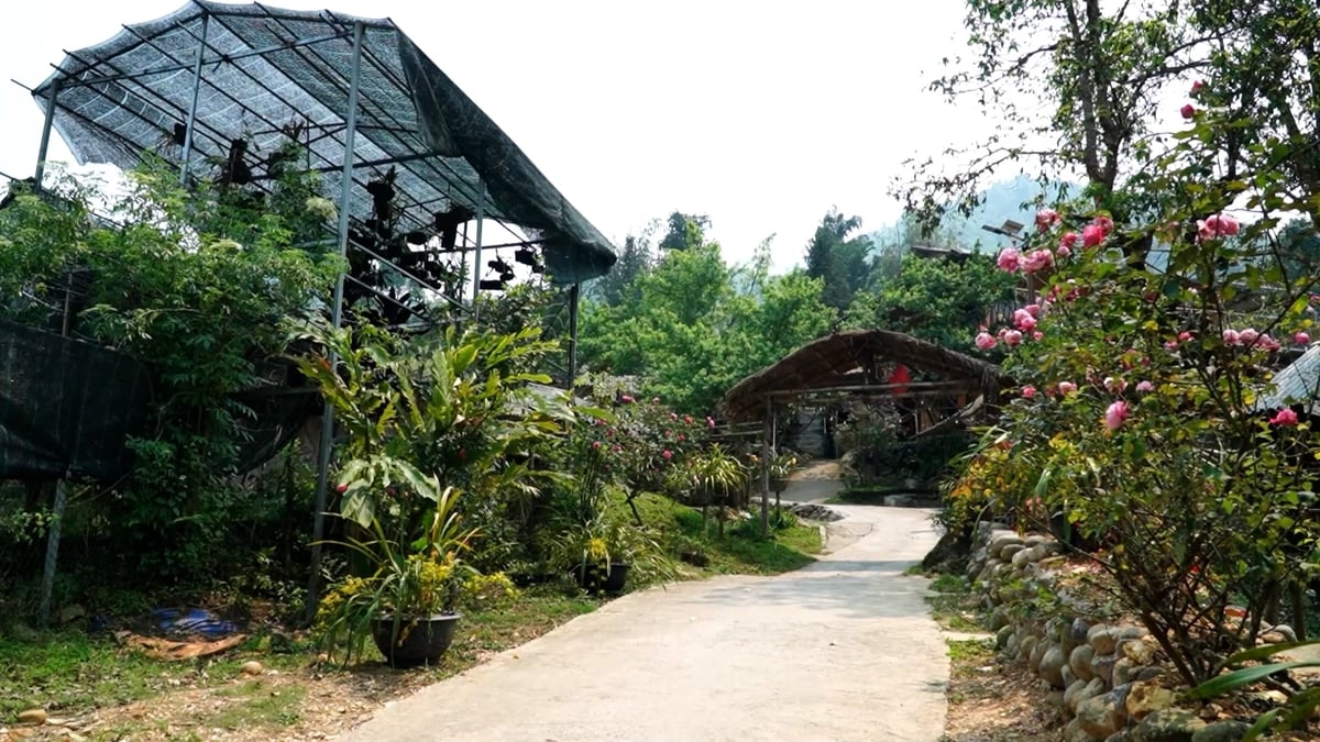 Bản làng thêm sắc thắm bởi những loài hoa trồng ven đường. Ảnh: Đức Bình.