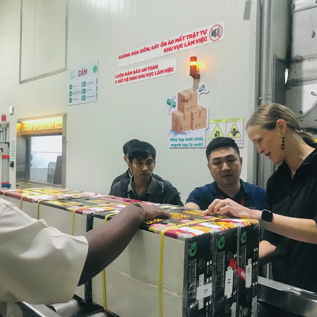 Để bảo đảm tuân thủ quy định kiểm dịch thực vật của Việt Nam và Hoa Kỳ, doanh nghiệp phải thực hiện đúng quy trình vận hành chuẩn đã được APHIS phê duyệt. Ảnh: Toàn Phát.