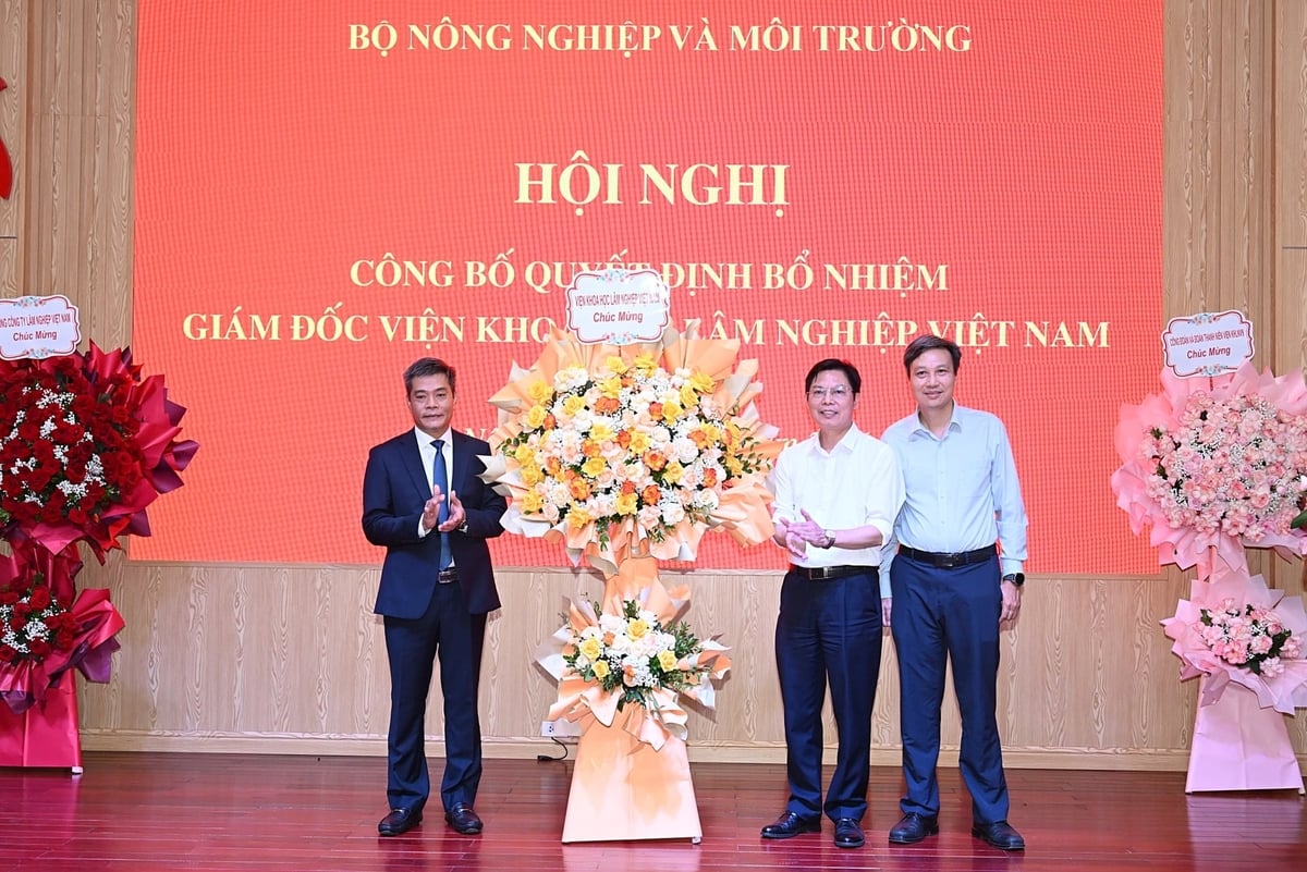 Ban giám đốc hiện tại của Viện Khoa học Lâm nghiệp Việt Nam. Từ trái qua là các ông: Phí Hồng Hải, Phạm Văn Điển và Trần Lâm Đồng. Ảnh: Bảo Thắng.