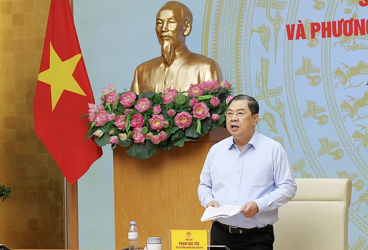 Phó Thủ tướng Thường trực đề nghị tập trung đánh giá công tác chống buôn lậu, gian lận thương mại và hàng giả 6 tháng đầu năm 2026. Ảnh: VGP/Phương Nguyên. Phó Thủ tướng Thường trực đề nghị tập trung đánh giá công tác chống buôn lậu, gian lận thương mại và hàng giả 6 tháng đầu năm 2026. Ảnh: VGP/Phương Nguyên.