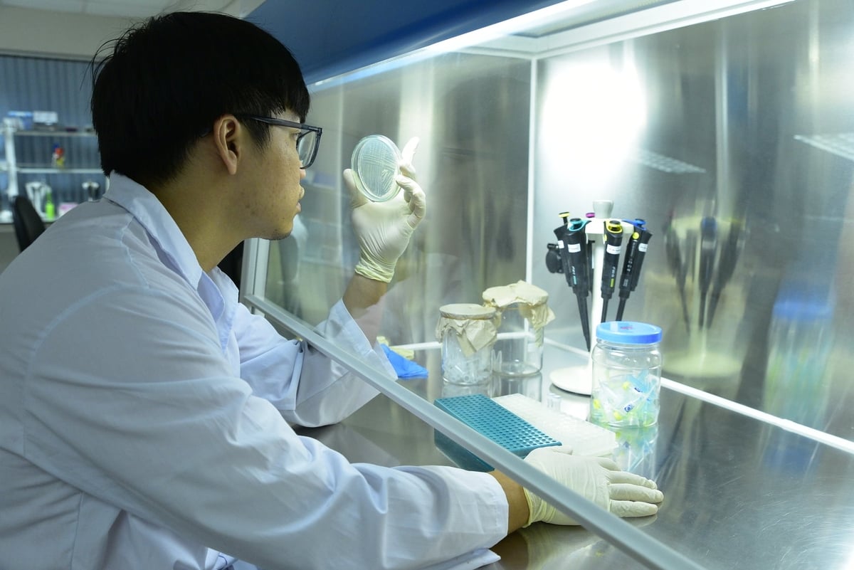 Viện Di truyền Nông nghiệp hiện chỉ còn khoảng 90 biên chế, khoảng hơn 20 lao động hợp đồng. Ảnh: Dương Đình Tường.