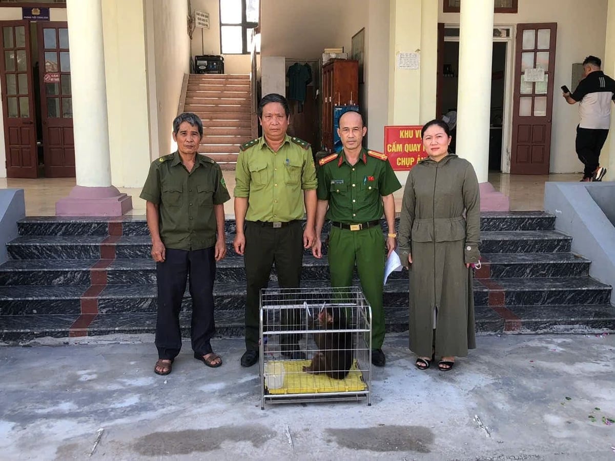 Lực lượng chức năng tiếp nhận cá thể khỉ mắt đỏ, thuộc Nhóm IIB, có trong lượng khoảnq 4kg tại xã Lai Khê đầu tháng 7/2026. Ảnh: Công an xã Lai Khê.