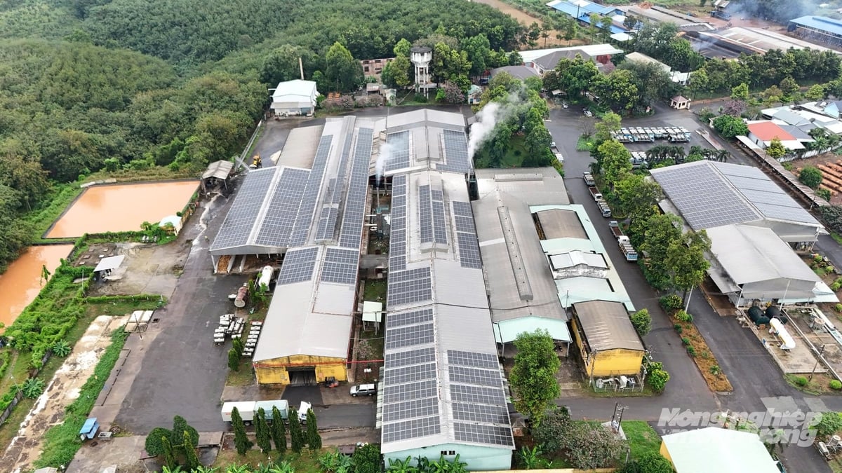 Khu công nghiệp xanh được quy hoạch theo hướng sử dụng hiệu quả tài nguyên, giảm phát thải và nâng cao khả năng chống chịu với biến đổi khí hậu, đáp ứng các tiêu chuẩn phát triển bền vững và chuỗi cung ứng toàn cầu. Ảnh: Lê Bình.
