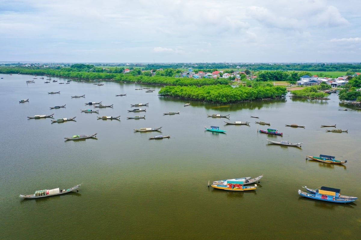 Đa dạng sinh học, hệ sinh thái được bảo tồn, giữ gìn nhờ cộng đồng chung tay bảo vệ. Ảnh: Tùng Đinh. Đa dạng sinh học, hệ sinh thái được bảo tồn, giữ gìn nhờ cộng đồng chung tay bảo vệ. Ảnh: Tùng Đinh.