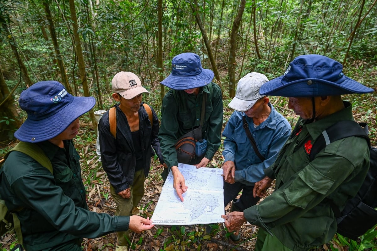 Cộng đồng giữ rừng Tân Mỹ (TP. Huế). Ảnh: Tùng Đinh. Cộng đồng giữ rừng Tân Mỹ (TP. Huế). Ảnh: Tùng Đinh.