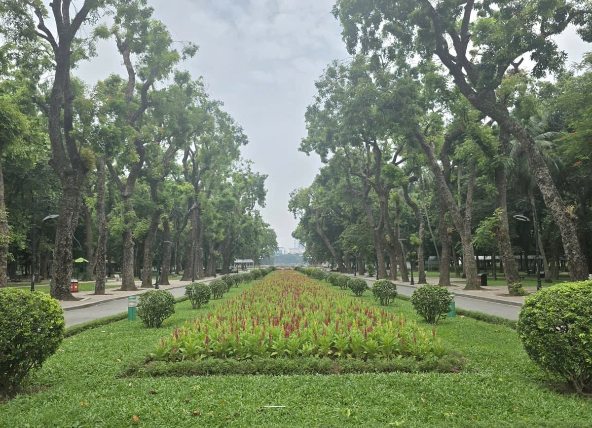 Công viên Thống Nhất được đầu tư làm đẹp cảnh quan phục vụ nhân dân đến vui chơi, thể dục, đi dạo. Ảnh: Xuân Vũ.