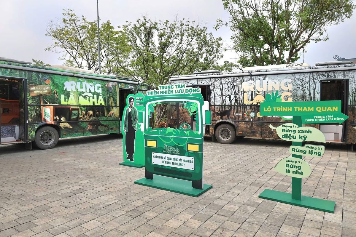 Các 'Trung tâm Thiên nhiên lưu động' được triển khai trên xe buýt. Ảnh: Save Vietnam’s Wildlife.