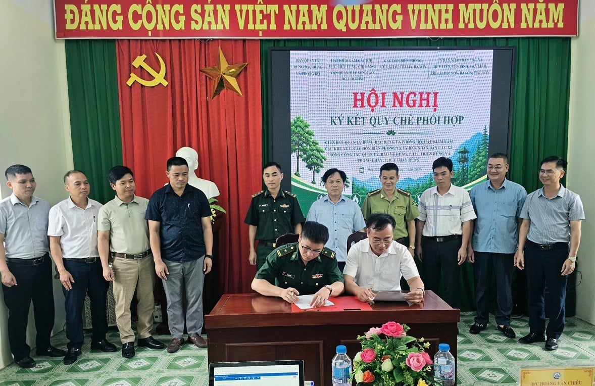 Lực lượng biên phòng tham gia cơ chế phối hợp bảo vệ rừng, nhất là tại các địa bàn giáp biên giới. Ảnh: Hoàng Nghĩa.