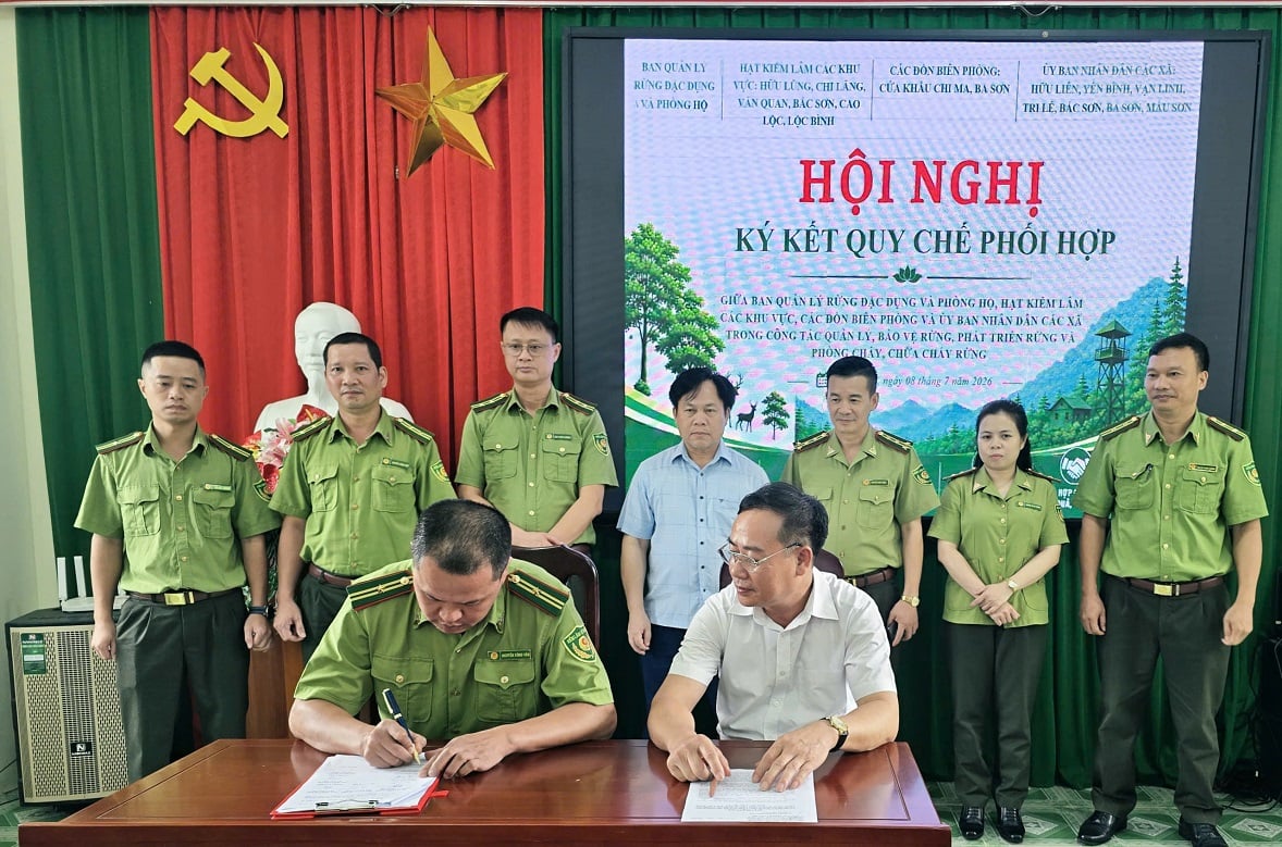 Quy chế phối hợp với các Hạt Kiểm lâm khu vực góp phần phân rõ trách nhiệm, nâng hiệu quả tuần tra, kiểm soát và xử lý vi phạm về lâm nghiệp. Ảnh: Hoàng Nghĩa.