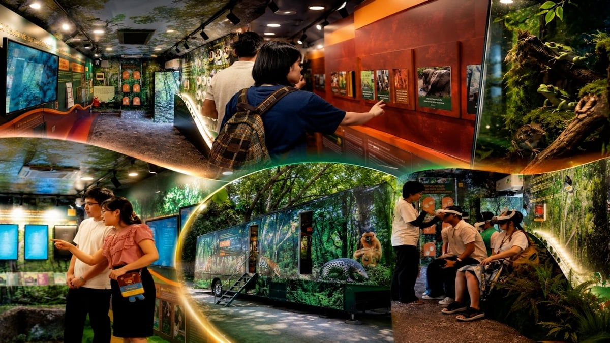 Du khách khám phá thiên nhiên trên chiếc xe buýt đặc biệt. Ảnh: Save Vietnam’s Wildlife.
