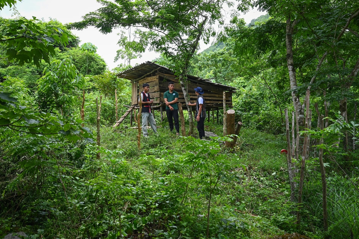 Mô hình nuôi heo, nuôi dê từ nguồn vỗ hỗ trợ của WWF - Việt Nam để đảm bảo sinh kế bền vững cho cộng đồng giữ rừng thôn Trăng Tà Puồng. Ảnh: Tùng Đinh.