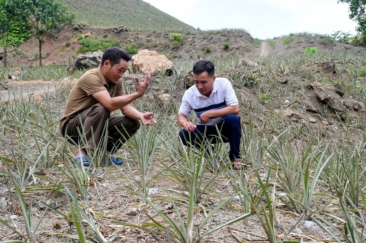 Ông cũng tỉ mỉ hướng dẫn người dân làm theo, động viên người dân tham gia các mô hình trồng trọt để nâng cao đời sống. Ảnh: Bích Hợp.